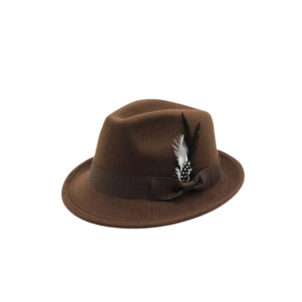 Women's fedora hat with feather