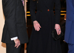 Princess of Wales fashion statement at the Remembrance Festival 2024 Princess of Wales fashion statement at the Remembrance Festival 2024